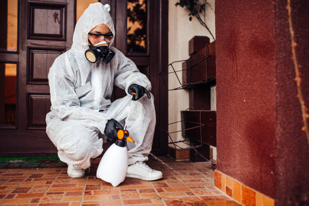 Reliable Mosquito Control contractor in Edgewood, MD by Show Me Pest Control